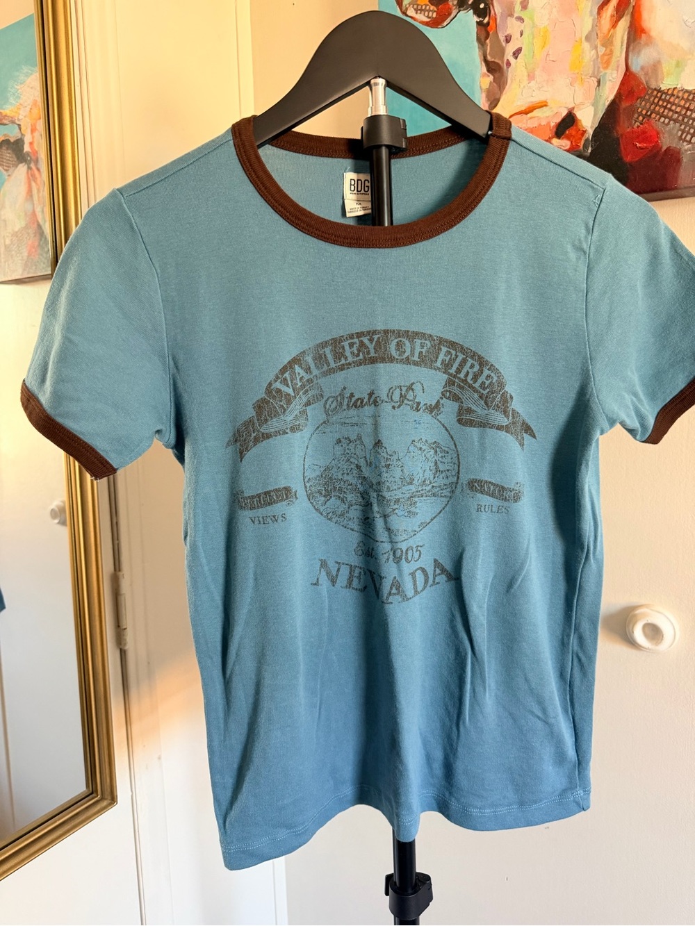 BDG Valley of Fire Nevada Ringer Tee – Medium
